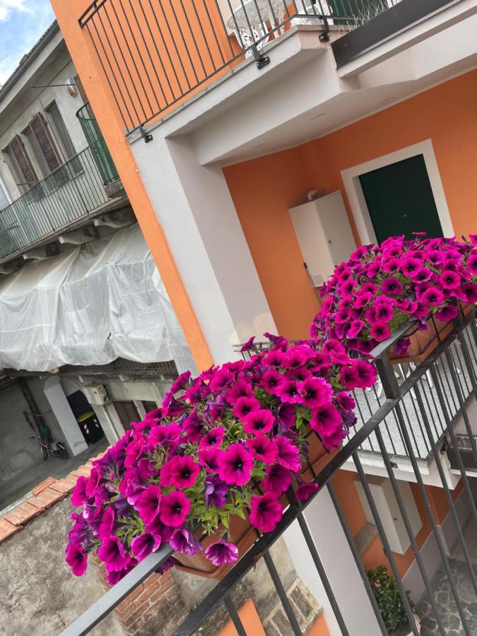 Ferienwohnung Residenza Nikol Casale Monferrato Exterior foto