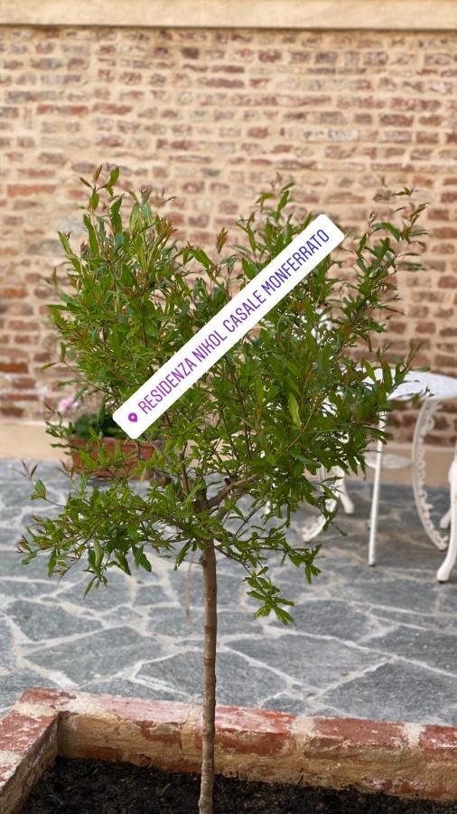 Ferienwohnung Residenza Nikol Casale Monferrato Exterior foto