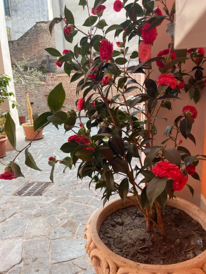 Ferienwohnung Residenza Nikol Casale Monferrato Exterior foto