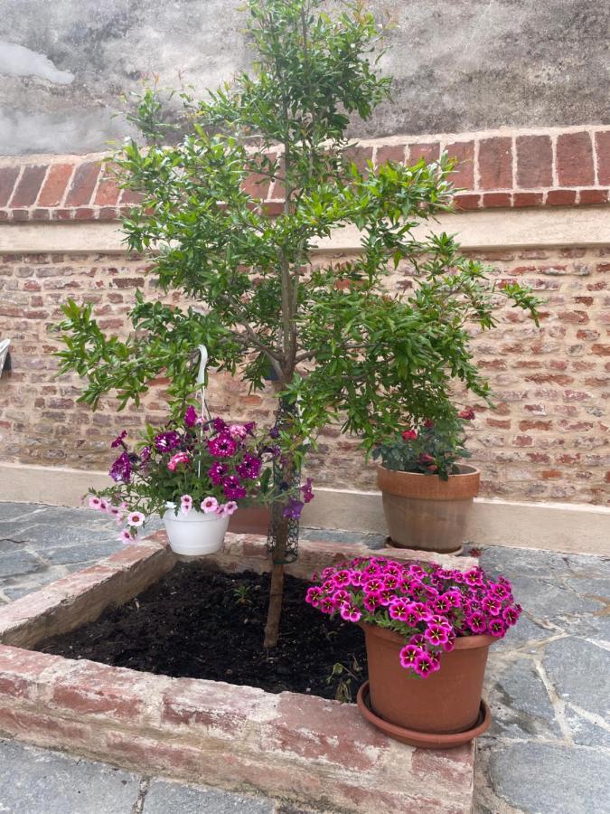 Ferienwohnung Residenza Nikol Casale Monferrato Exterior foto